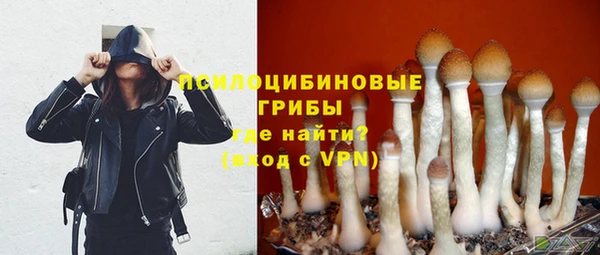 MDMA Premium VHQ Козельск