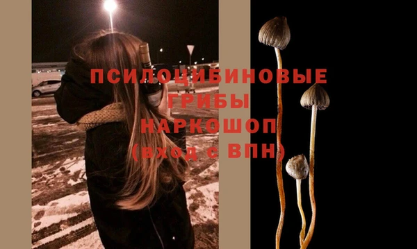 MDMA Premium VHQ Козельск