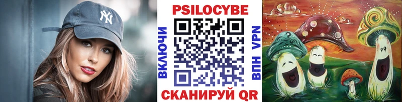 Галлюциногенные грибы Psilocybe Истра